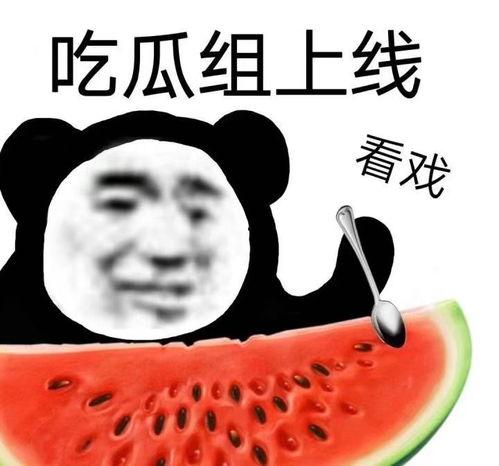 带你吃瓜沙雕厨艺视频,带你吃瓜看“带你吃瓜沙雕”视频中的美味瞬间