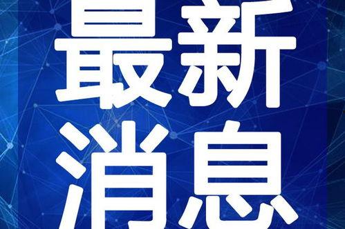 美团内网最新吃瓜视频,揭秘内部风云与员工众生相