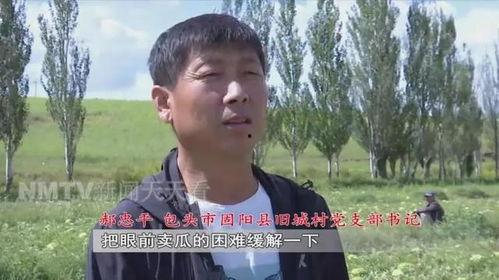 老王吃生瓜视频,舌尖上的刺激之旅