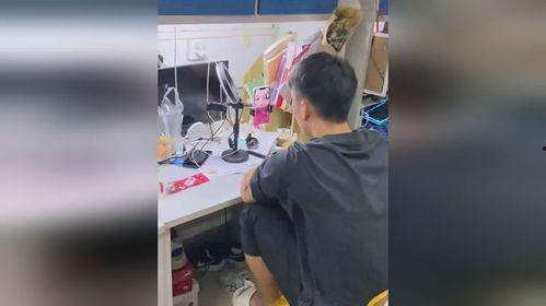 宿舍女生视频吃瓜,揭秘校园生活趣味瞬间