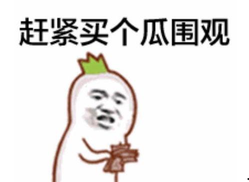 吃瓜群众惊吓视频大全播放,惊悚瞬间！吃瓜群众惊吓视频大全大揭秘