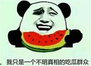 贫穷使我理智吃瓜视频,贫穷视角下的社会现象解析
