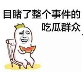 民谣吃瓜群众是谁啊视频,揭秘网络热词背后的故事